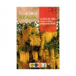 Chuva Ouro 1 G ROCALBA