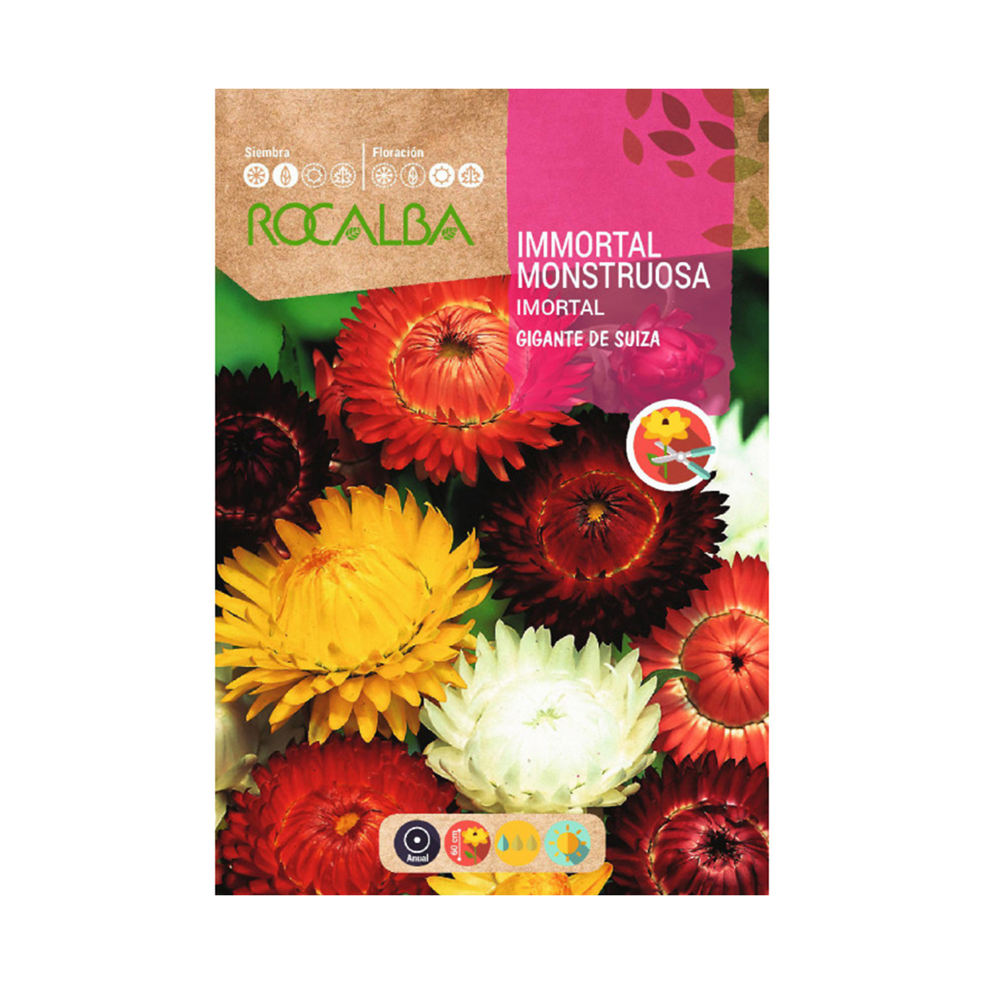 Imortal Monstruosa 3 G ROCALBA