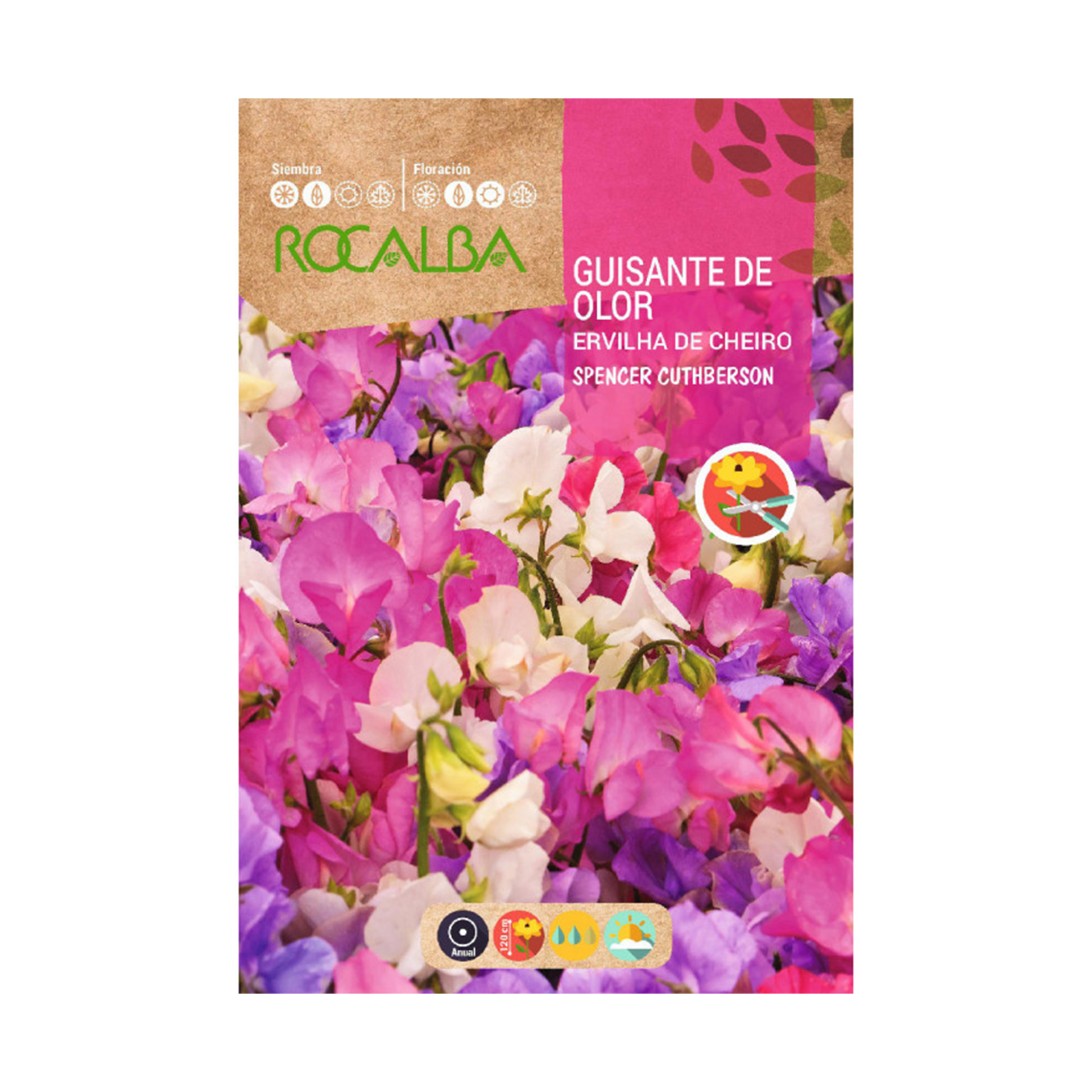 Ervilha Cheiro 10 G ROCALBA