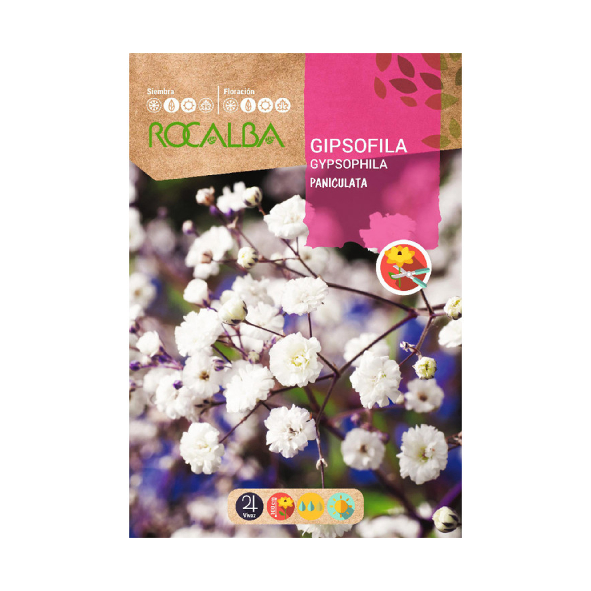 Gipsofila Paniculata Branca 4 G ROCALBA