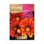 GAZANIA SUSHINE 0,2 G