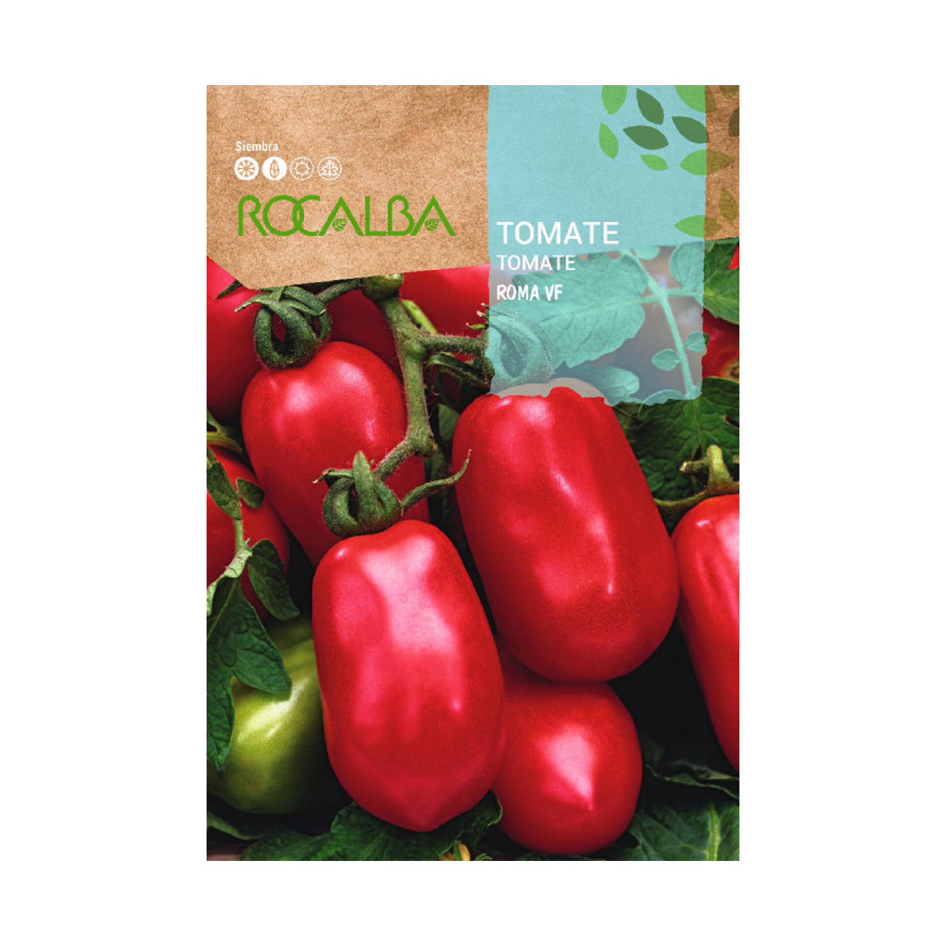 Tomate Roma 1 G ROCALBA