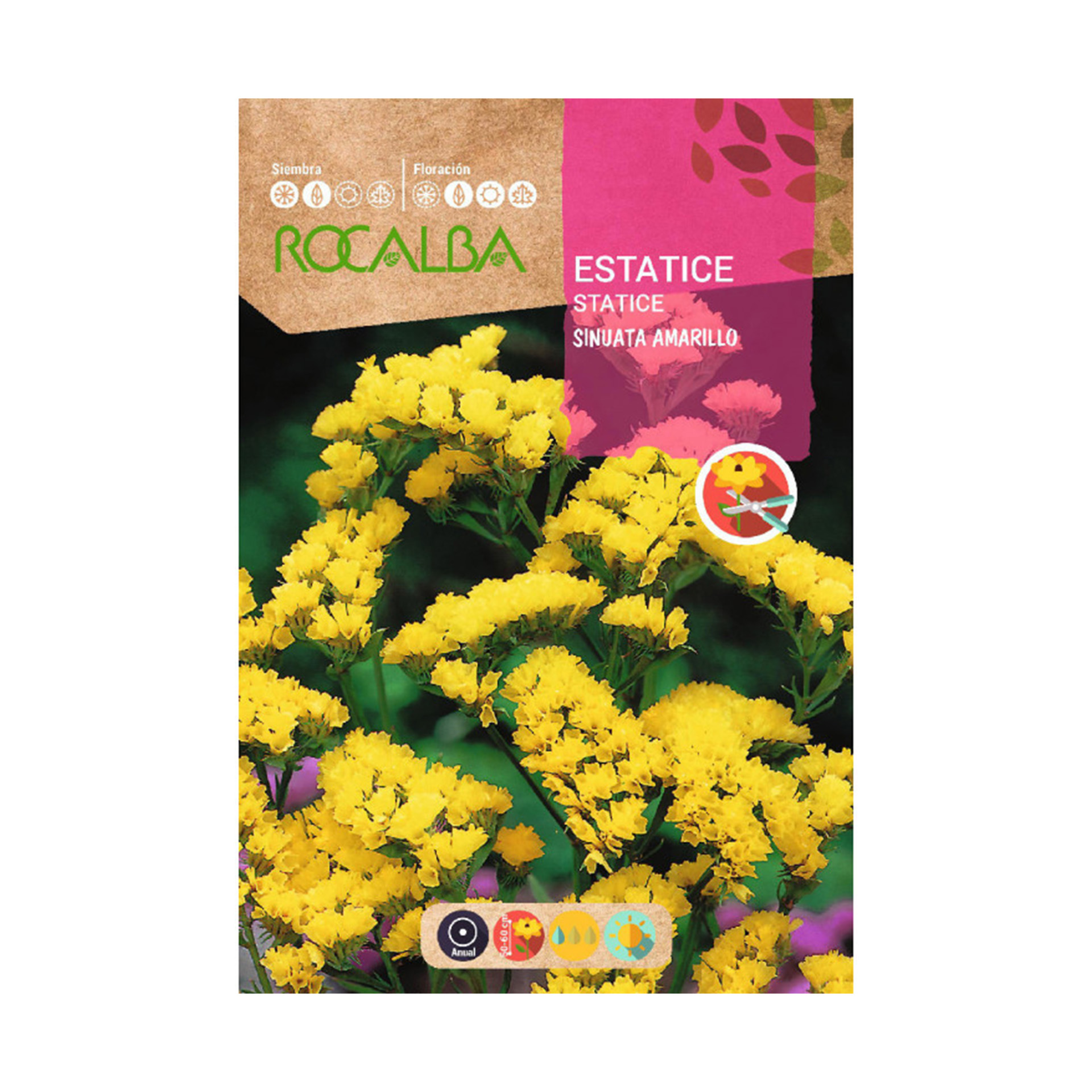 Estatice Sinuata Amarelo 0,5 G ROCALBA
