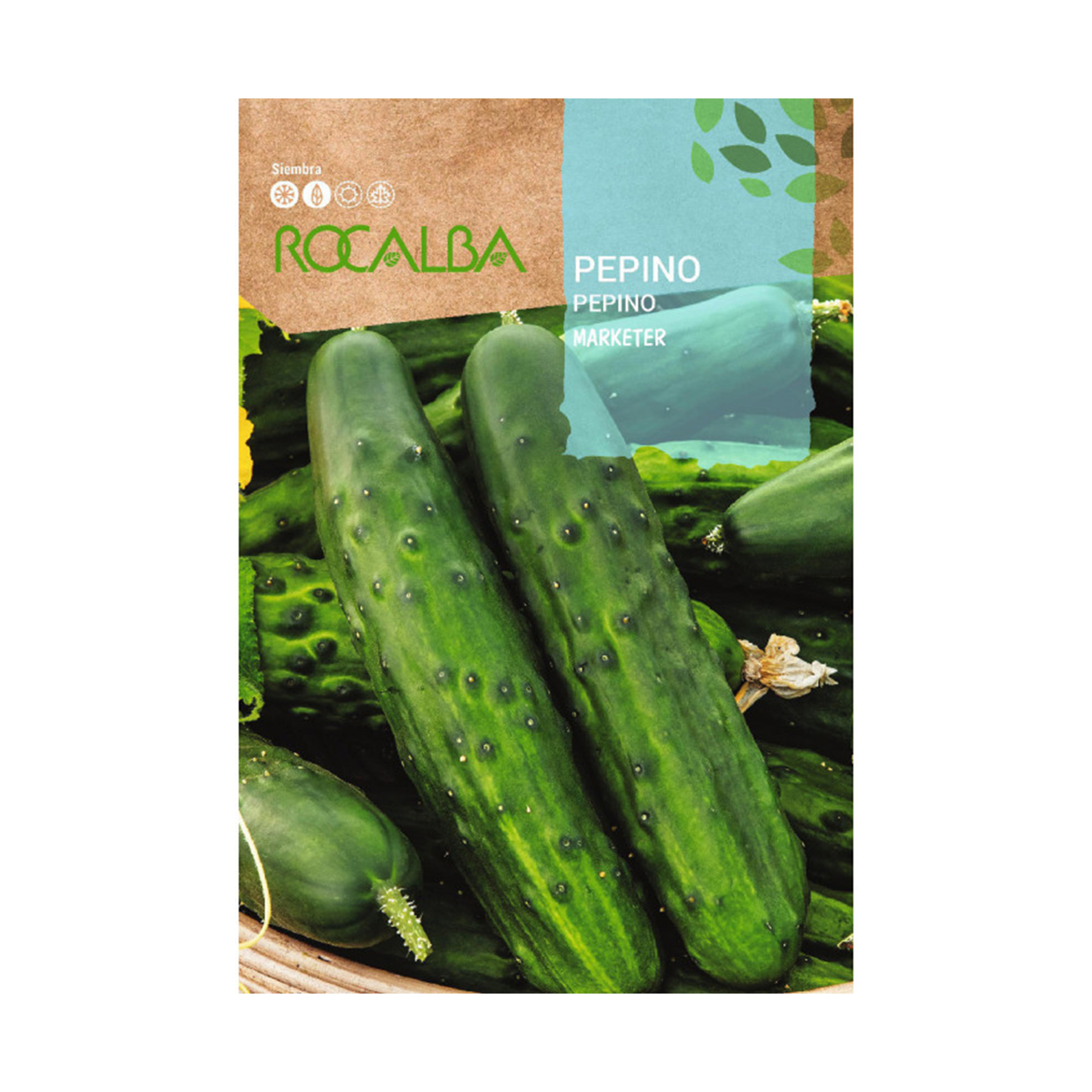 Pepino Marketer 6 G ROCALBA