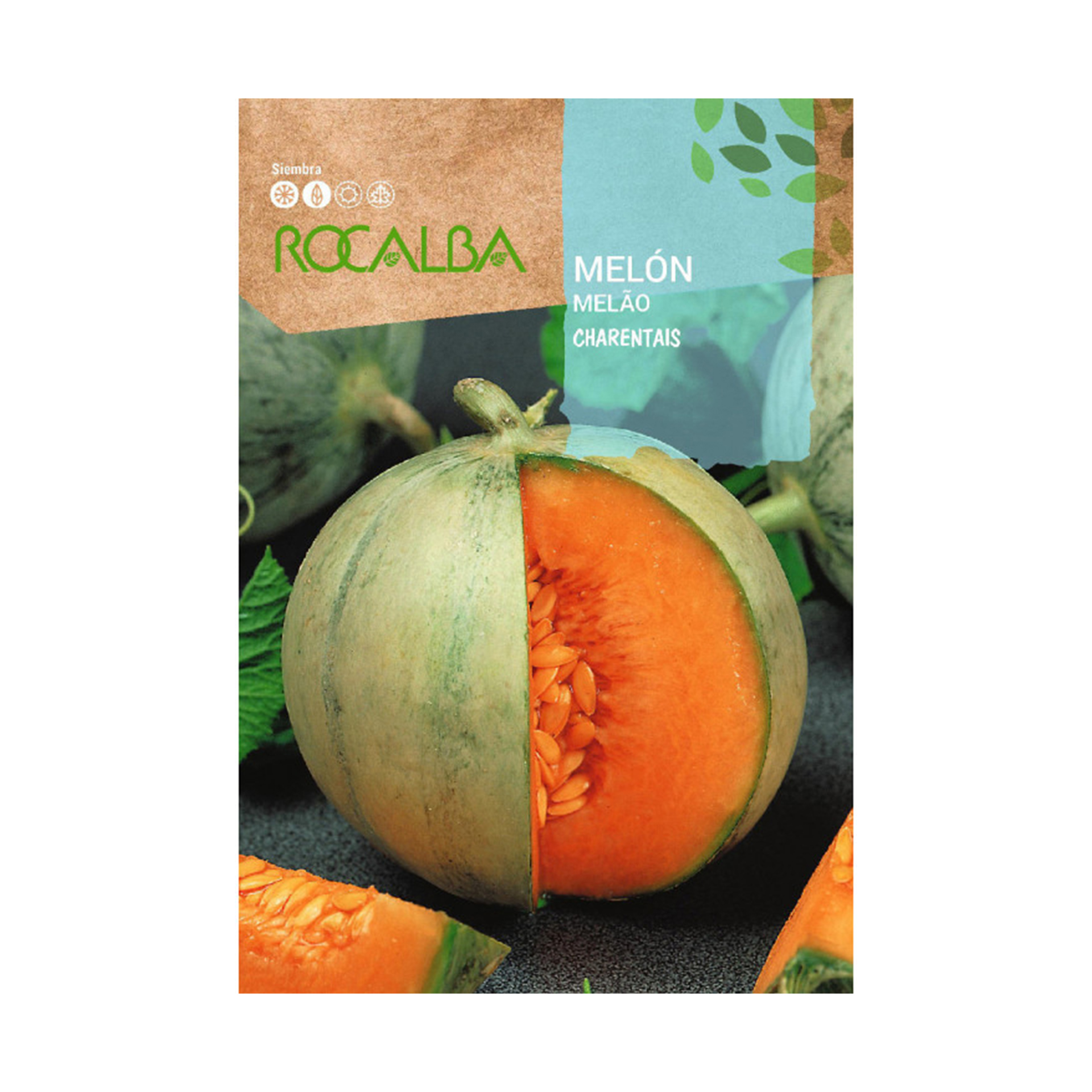 Meloa Cantaloupe 6 G ROCALBA
