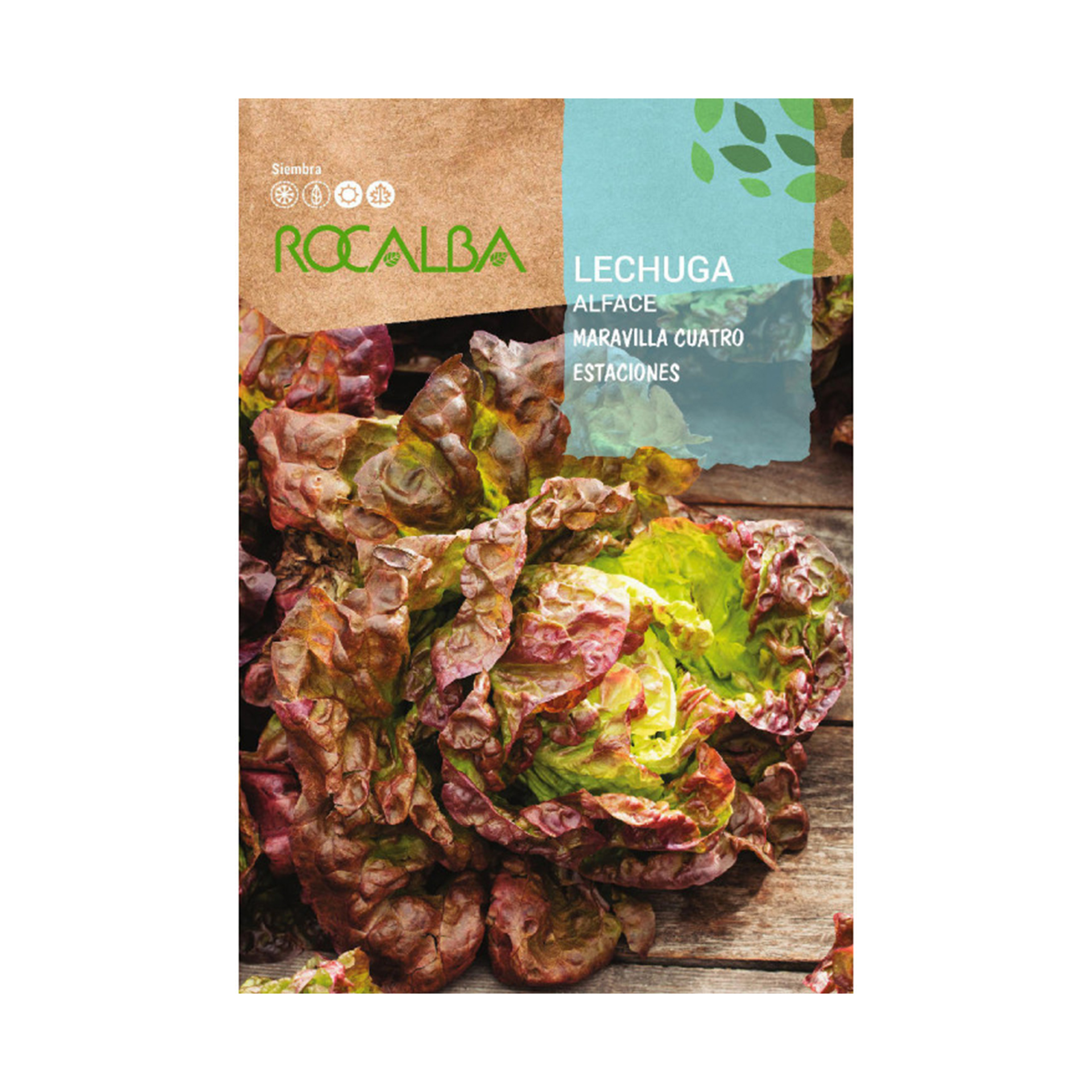 Alface Maravilha 4 Estações 6 G ROCALBA