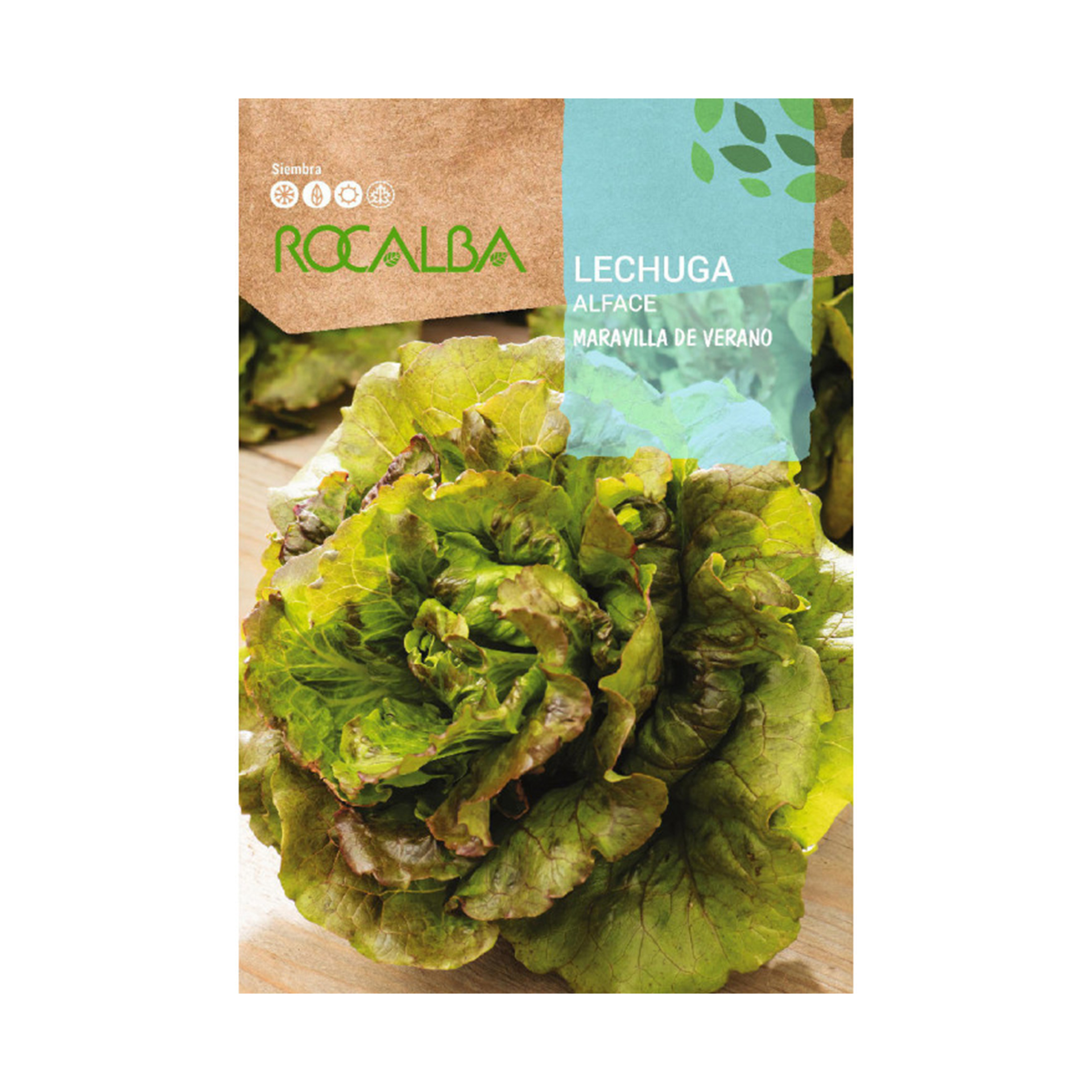 Alface Maravilha Verão 6 G ROCALBA