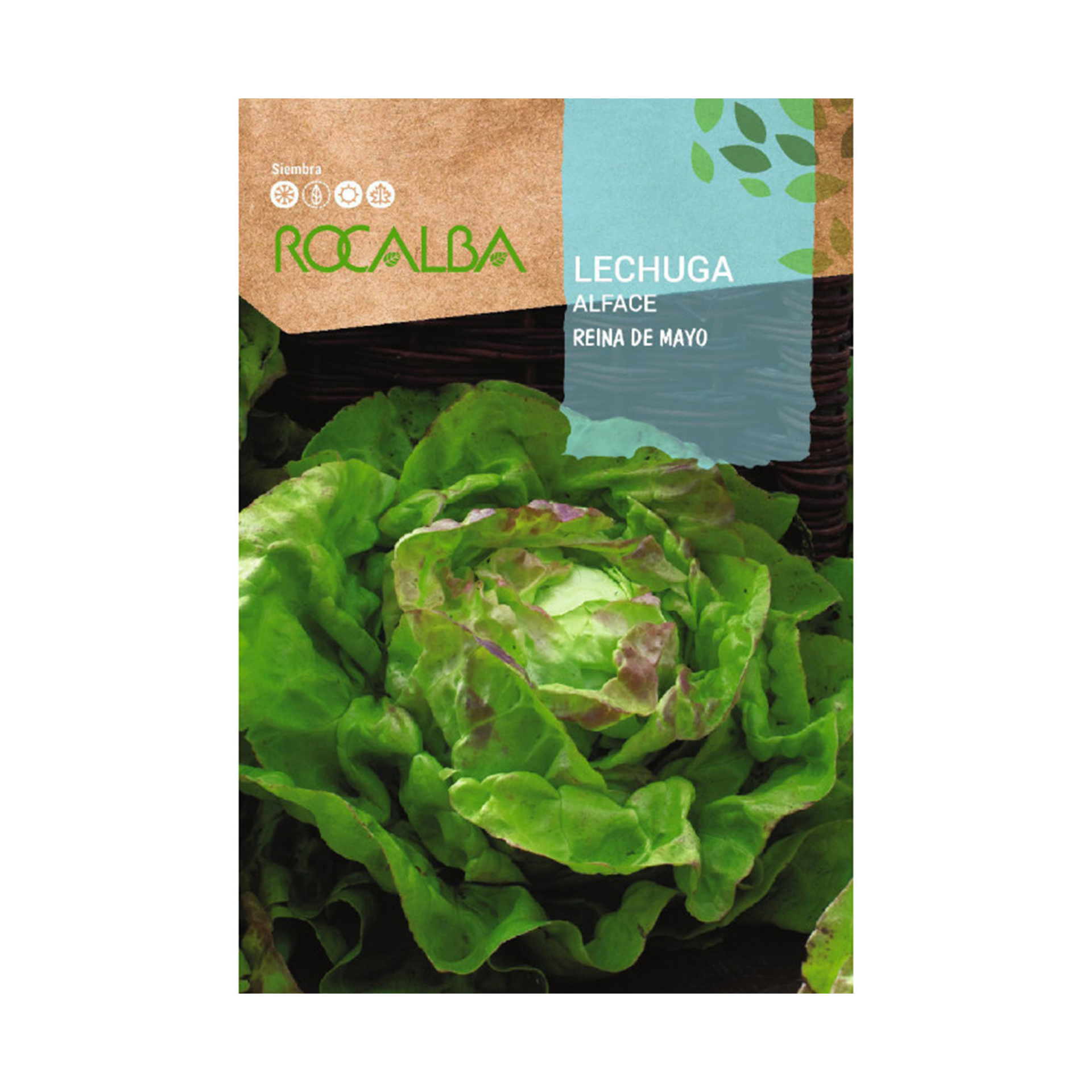 Alface Rainha Maio 6 G ROCALBA