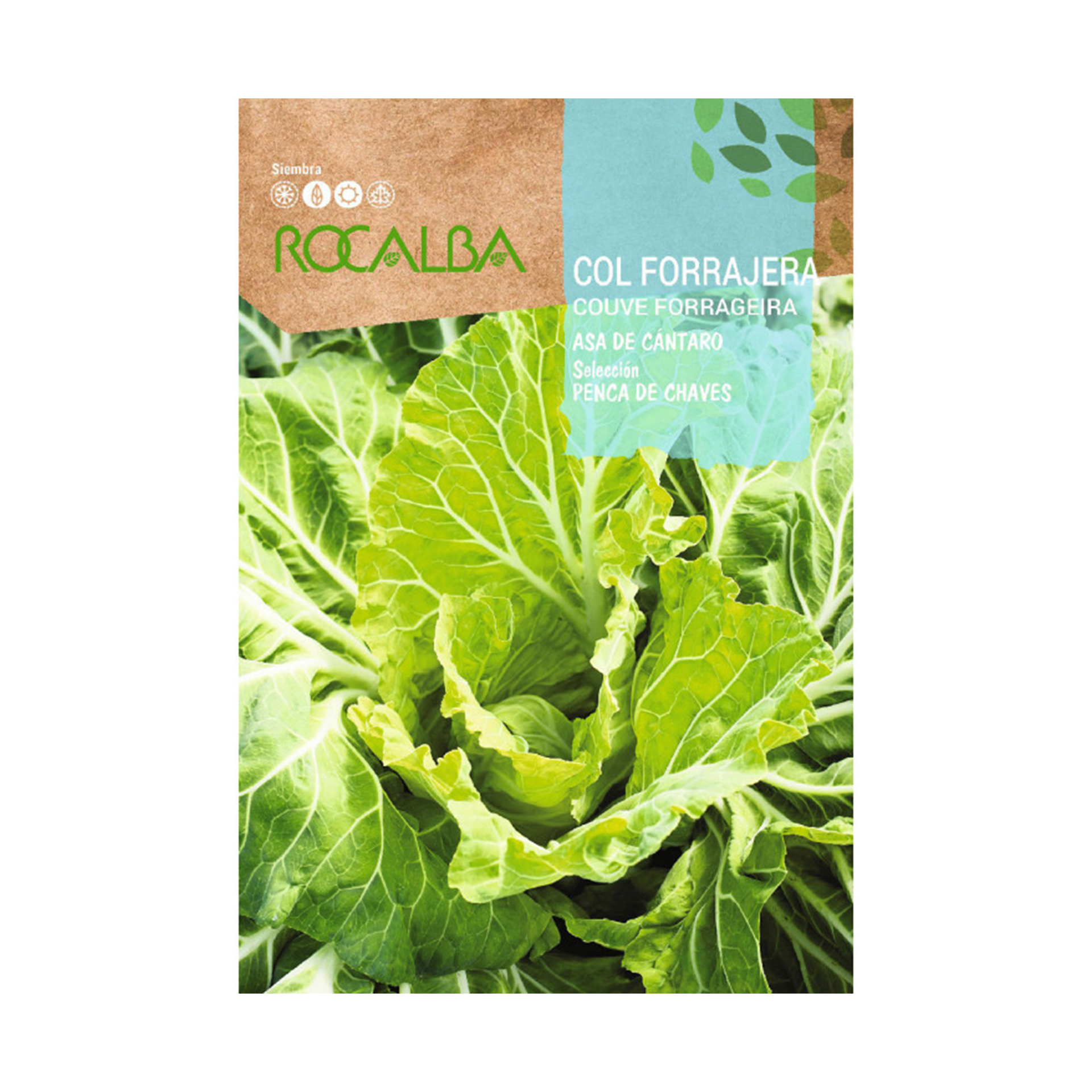 Couve Penca De Chaves 10 G ROCALBA