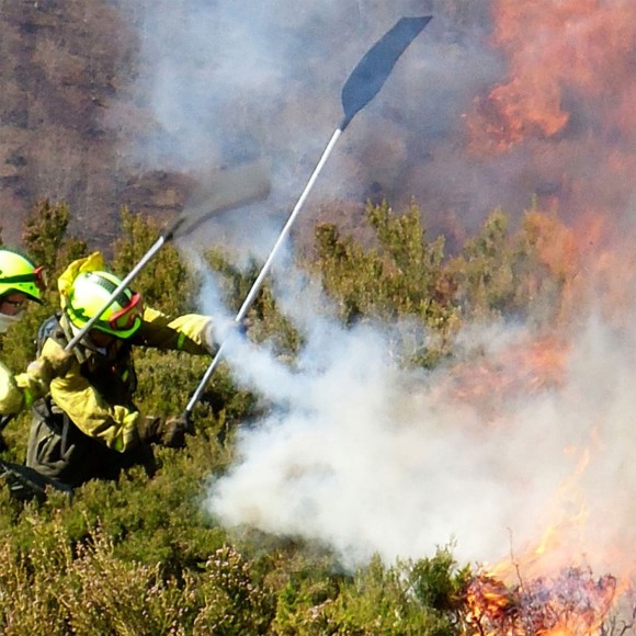Bate-Fogos Extensível 130-196 CM BIKAIN Bate-Fogos Extensível 130-196 CM BIKAIN