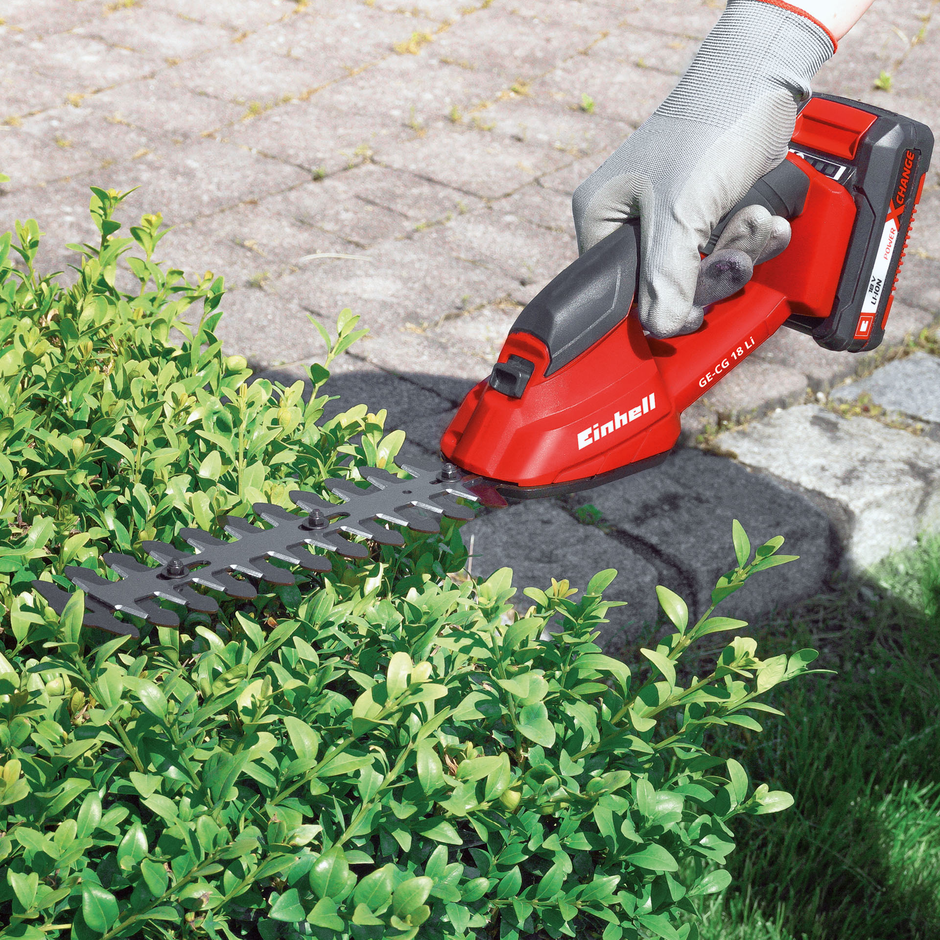 Aparador/Corta Sebes Bateria S/Fio GE-CG 1 EINHELL