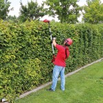 Corta Sebes E Eletroserra A Bateria GE-HC EINHELL Corta Sebes E Eletroserra A Bateria GE-HC EINHELL