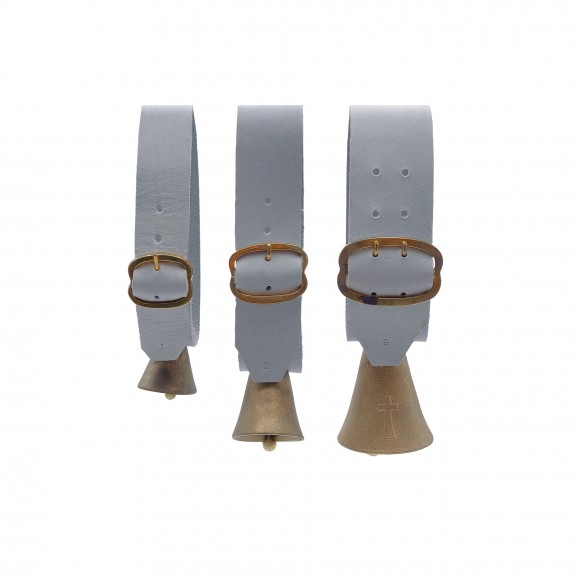 Colr Ov c/Esq Areada/Fosca n9 CHOCALHOS PARDALINHO