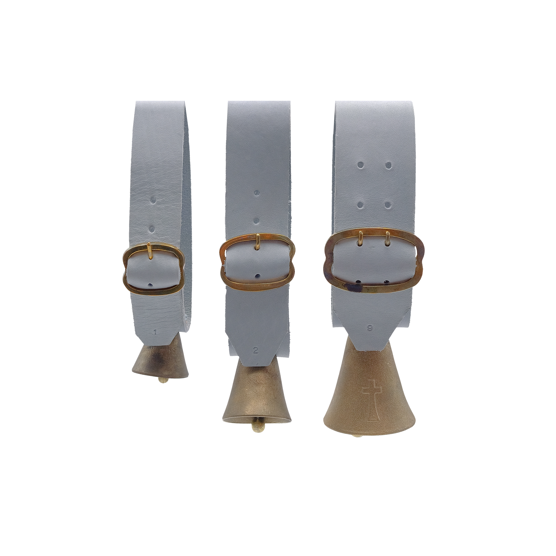 Colr Ov c/Esq Areada/Fosca n9 CHOCALHOS PARDALINHO