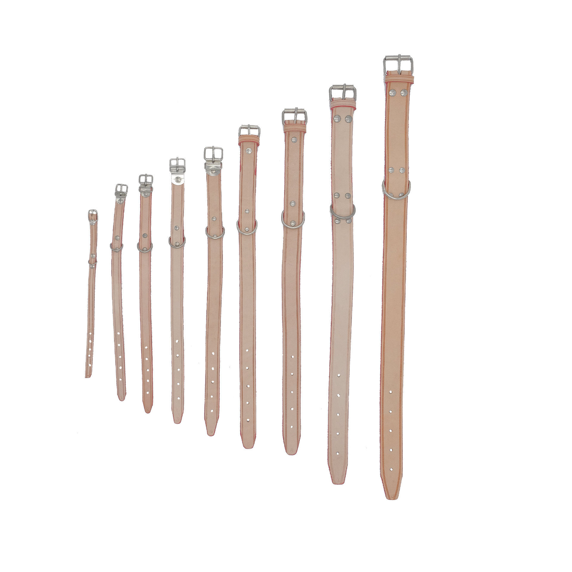 Coleira Seleiro nímero 0 CHOCALHOS PARDALINHO