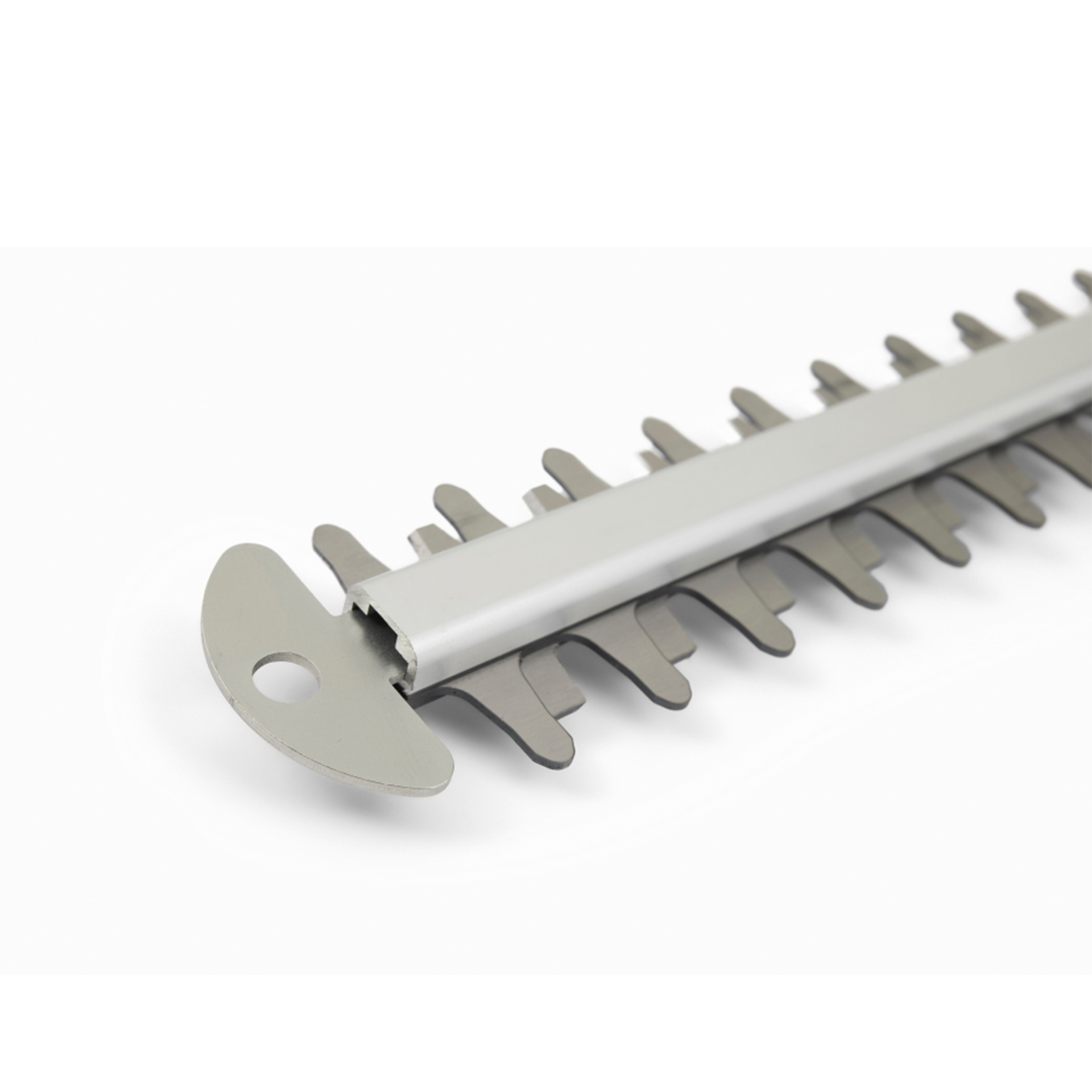 Kit Corta Sebes A Bateria 2 AH 20 V ALPINA