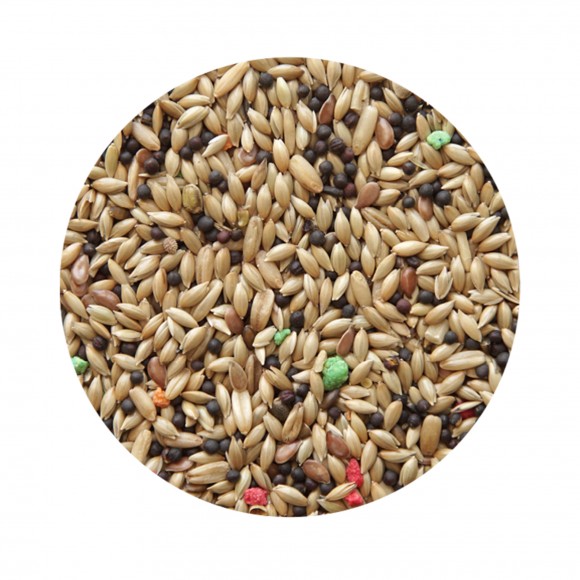 ALIMENTO CANRIO STANDART 850 GR