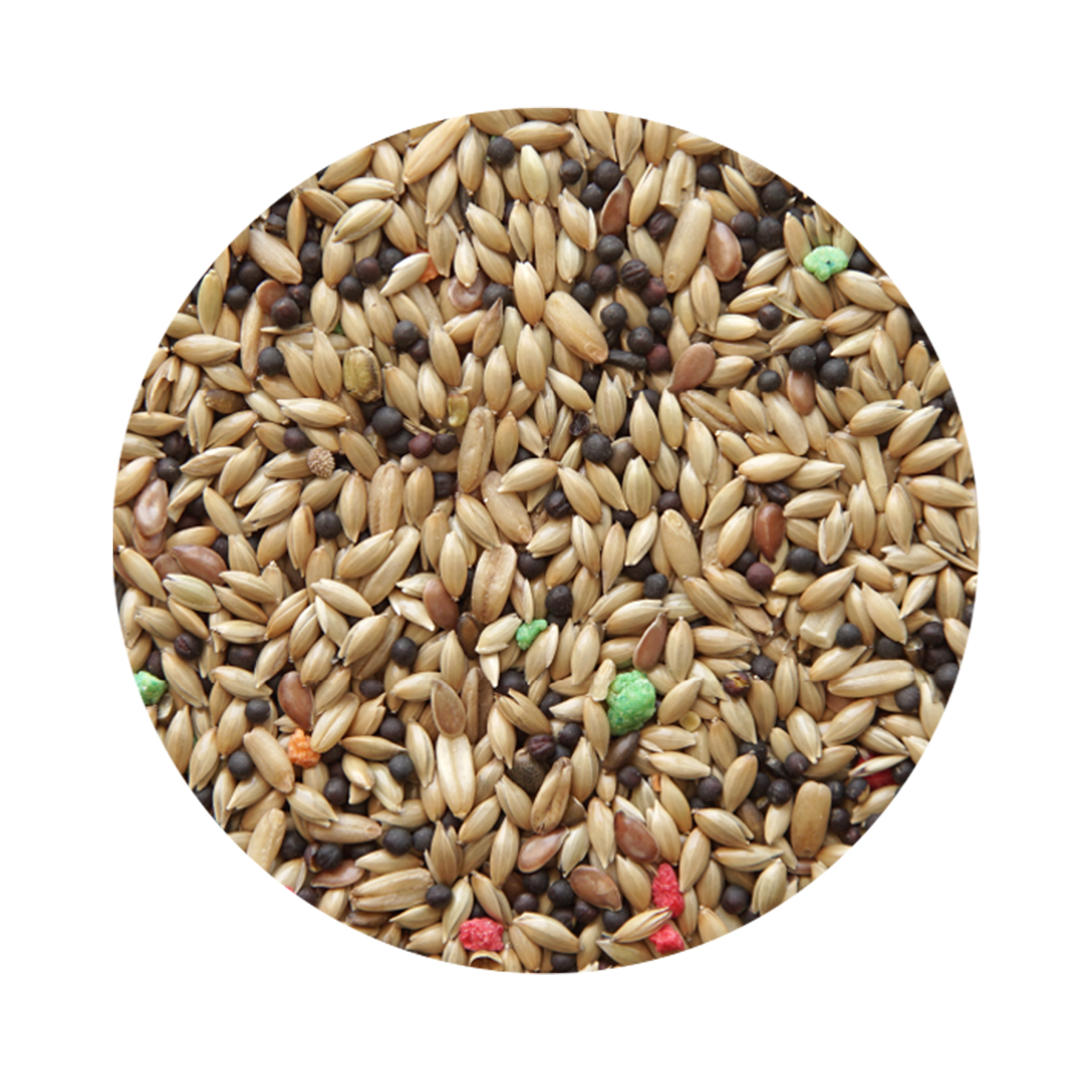 Alimento Para Canário Standart 850 GR PET CUP