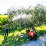 Pulverizador A Bateria Com Carrinho 100 L STOCKER