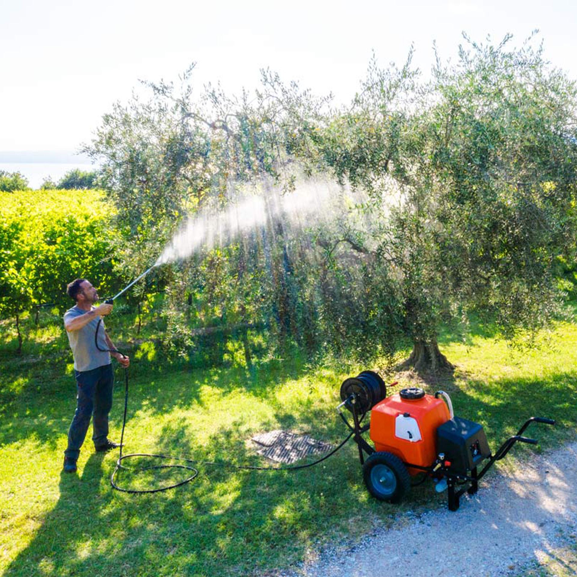 Pulverizador A Bateria Com Carrinho 80 L STOCKER