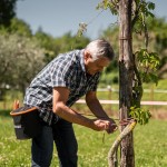 Bolsa Para Fio Empa e Tesoura Poda STOCKER Bolsa Para Fio Empa e Tesoura Poda STOCKER