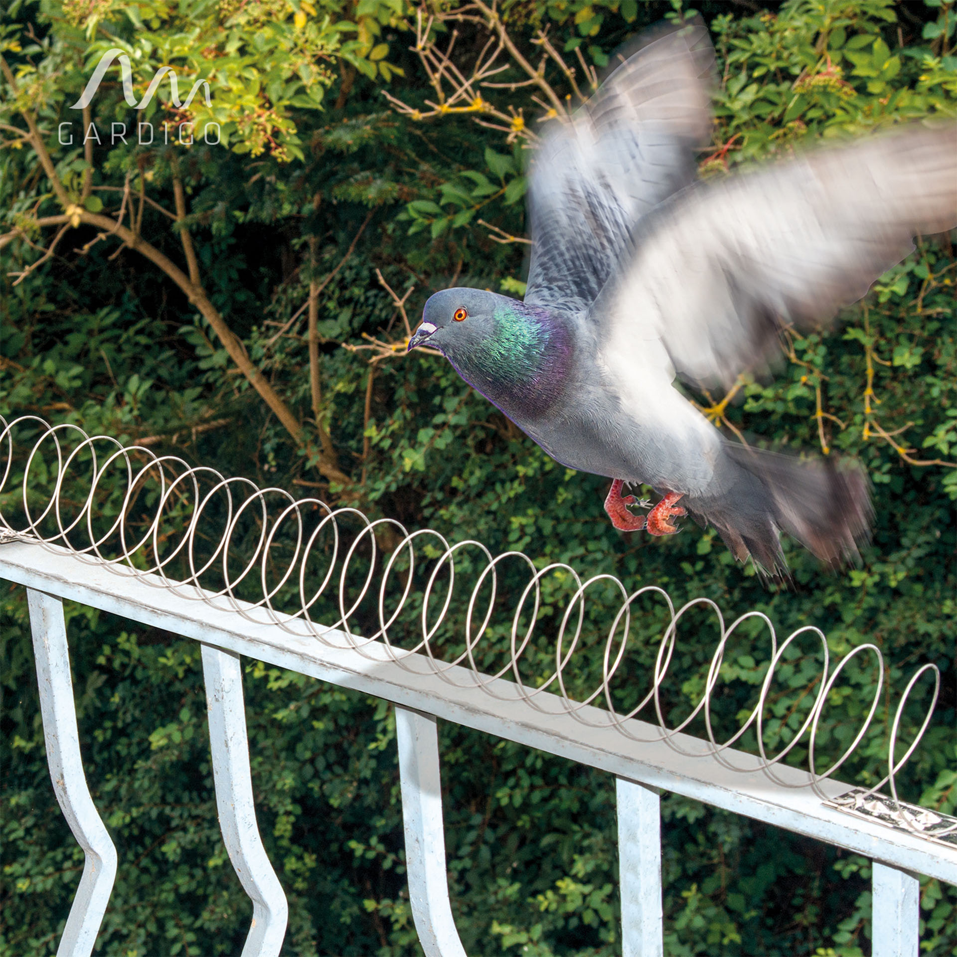 BARREIRA ESPIRAL PARA PÁSSAROS 240-500CM