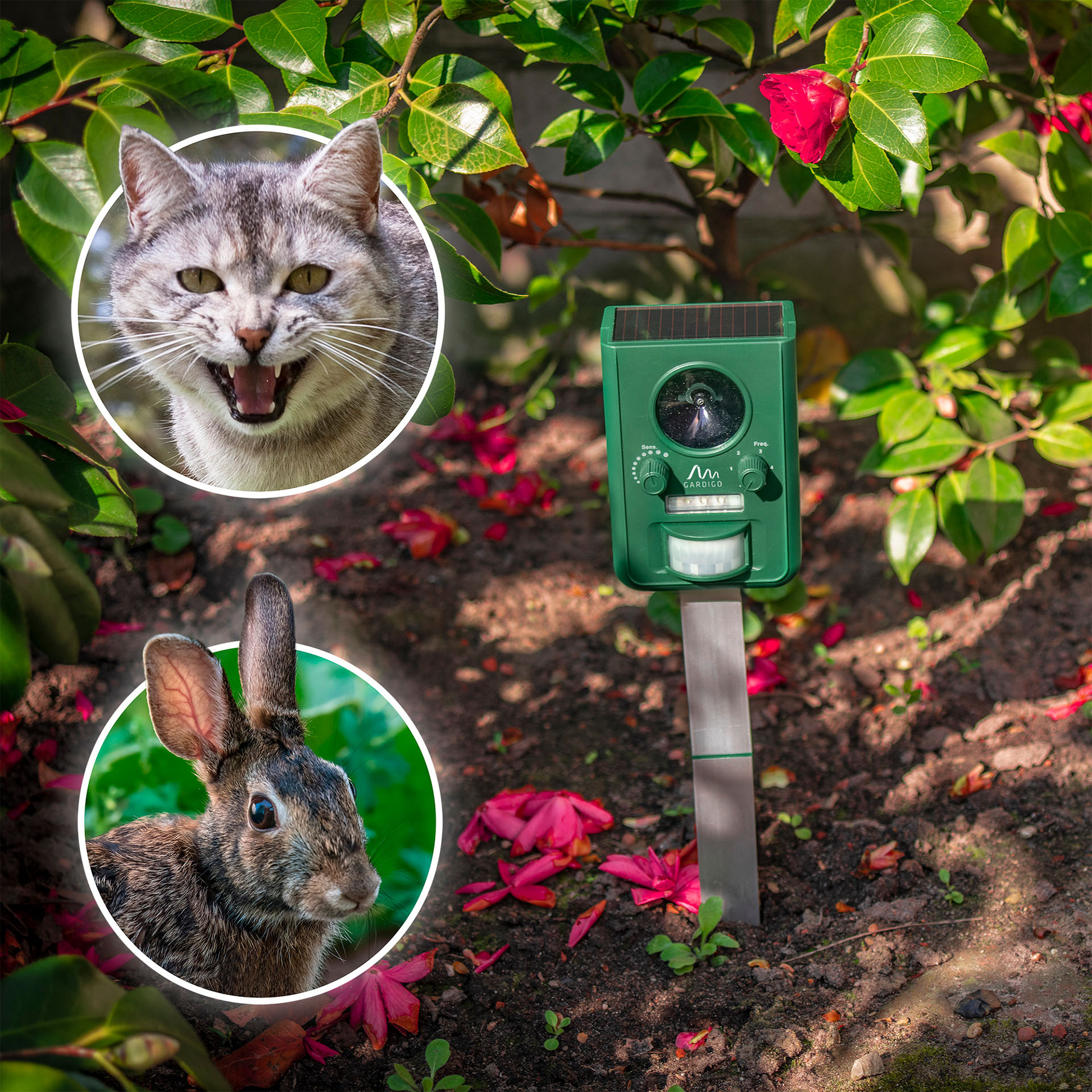 REPELENTE ULTRASONICO SOLAR PARA AFASTAR ANIMAIS 1