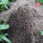 REPELENTE SOLAR CONTRA FORMIGAS 700M2