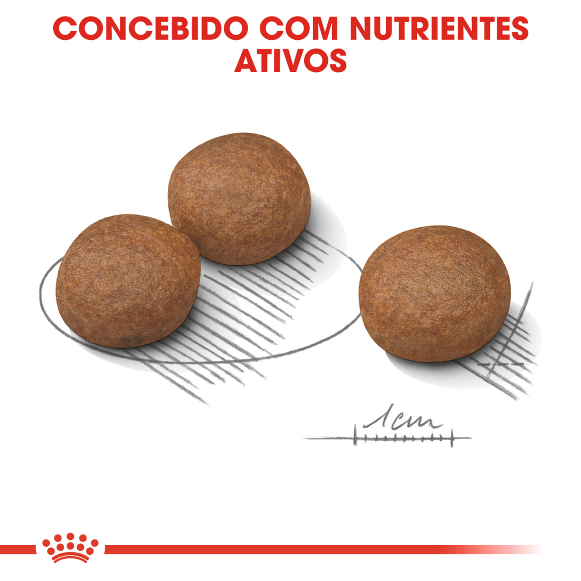 ALIMENTO SECO PARA CÃO MÉDIO DIGESTIVE CARE 12 KG