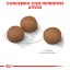 ALIMENTO SECO PARA CO MDIO DIGESTIVE CARE 12 KG