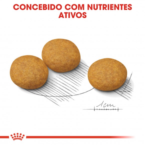 ALIMENTO SECO PARA CO MDIO DERMACONFORT