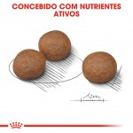 ALIMENTO SECO PARA CÃO MÉDIO DIGESTIVE CARE 12 KG ALIMENTO SECO PARA CÃO MÉDIO DIGESTIVE CARE 12 KG