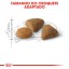 ALIMENTO SECO PARA GATO SAVOUR EXIGENT