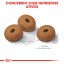 ALIM SECO PARA CO MAXI LIGHT WEIGHT CARE 12 KG