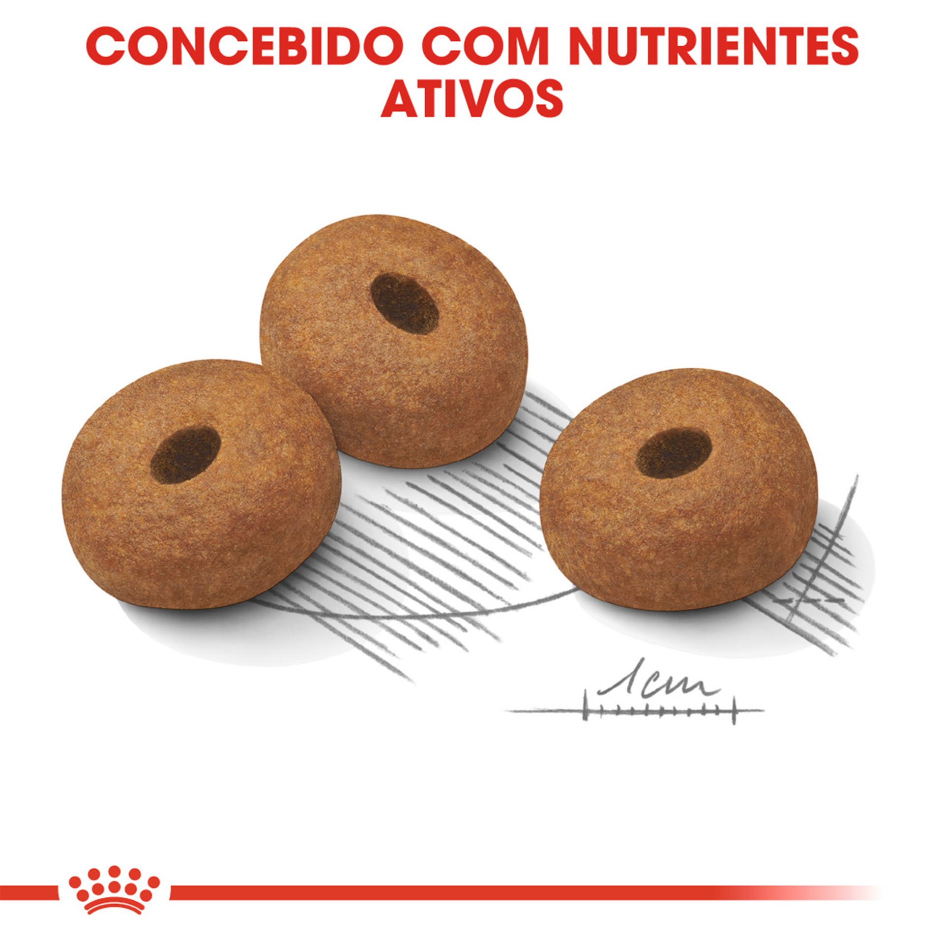 Alim Sc Cão Max Light Weight Car 12 KG ROYAL CANIN