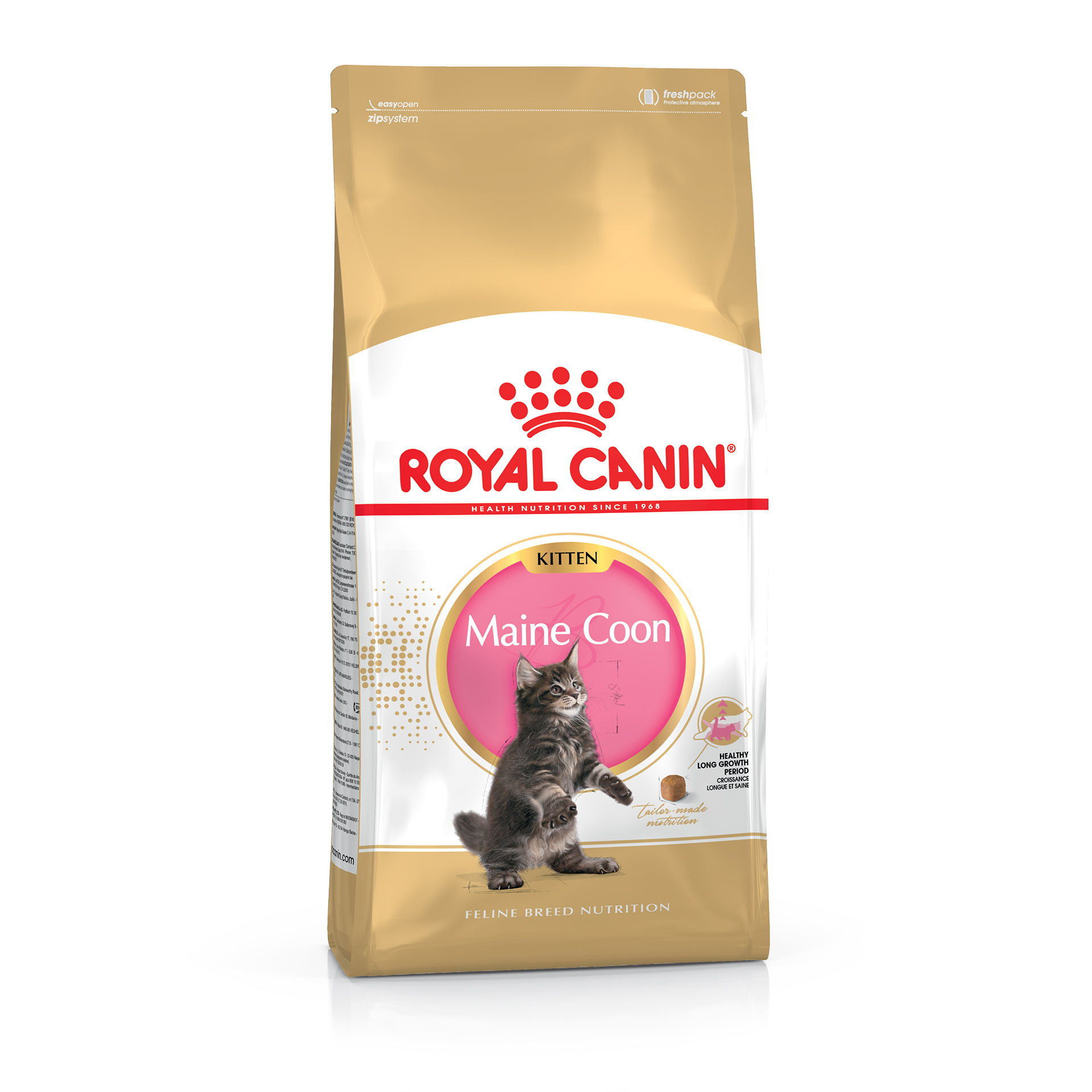 Alimento Gatinho Maine Coon 10 KG ROYAL CANIN
