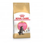 Alimento  Gatinho Maine Coon 10 KG ROYAL CANIN
