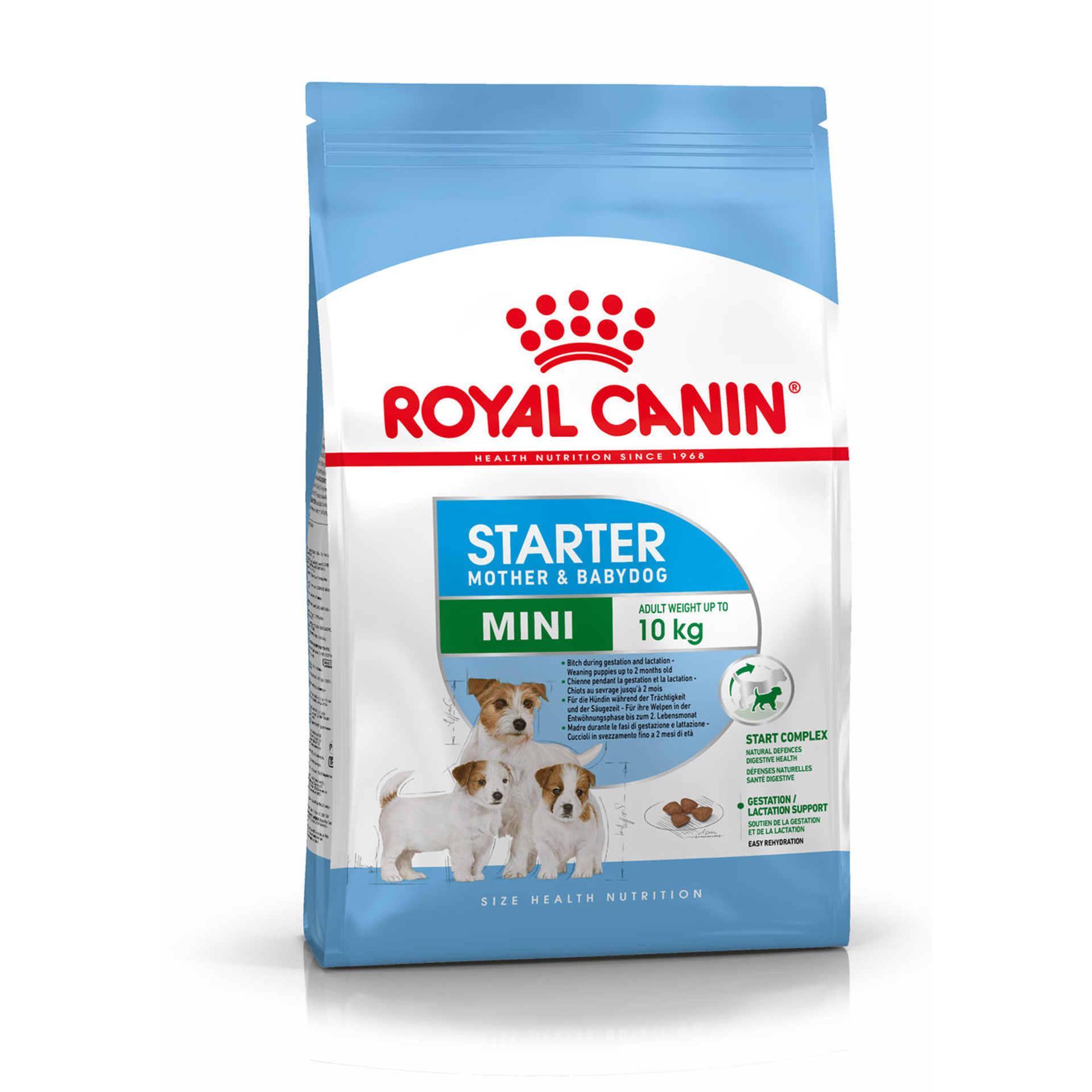 Alimento Seco Cão Mini Starter 4 KG ROYAL CANIN