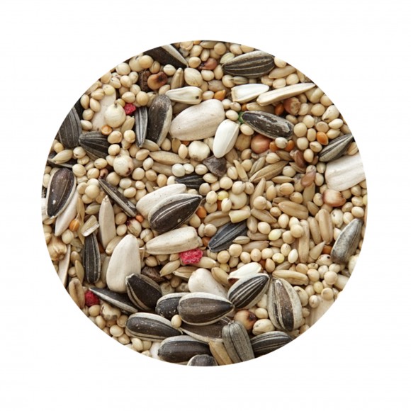 Mistura Psitacidio Standard PET CUP 20KG