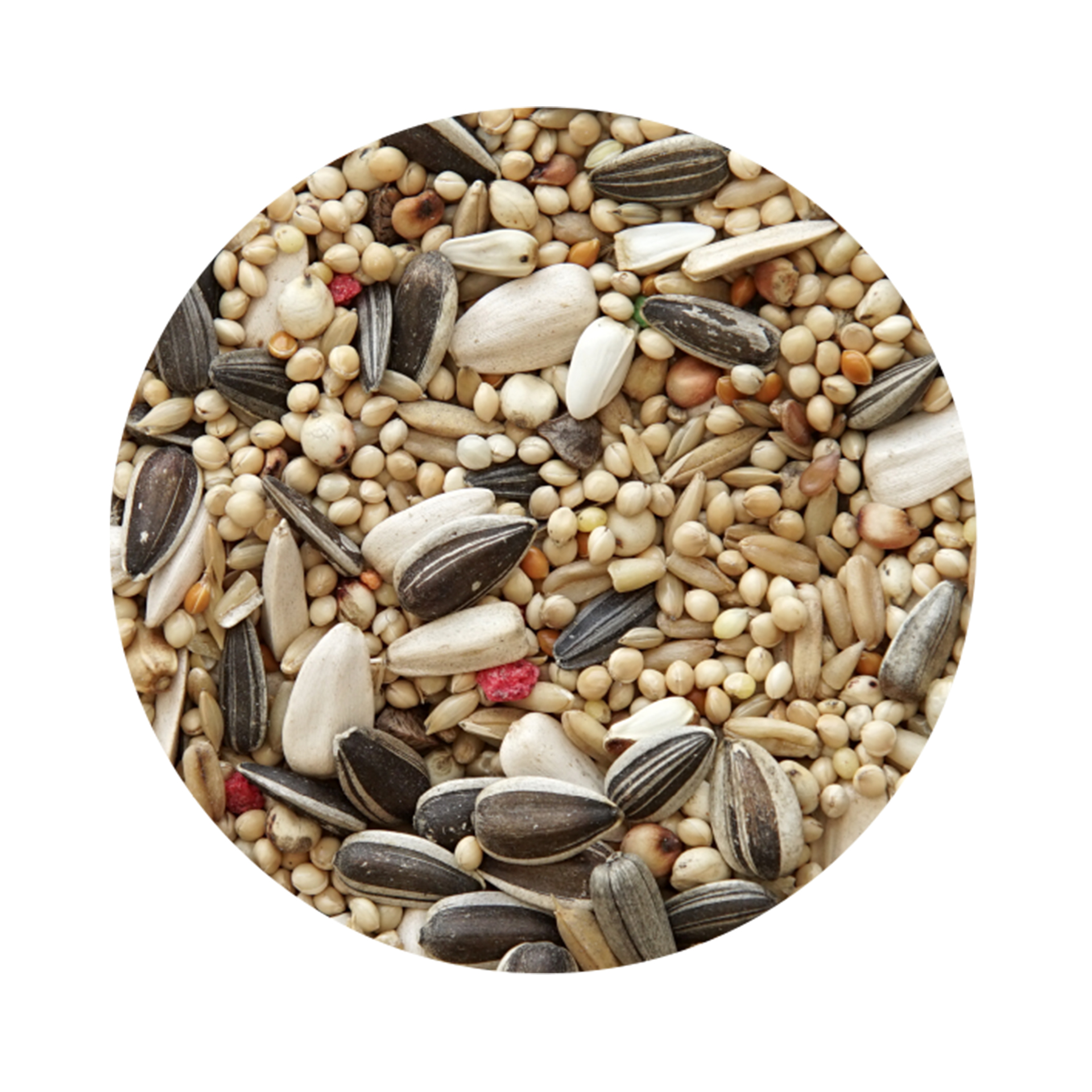 Mistura Psitacidio Standard PET CUP 20KG