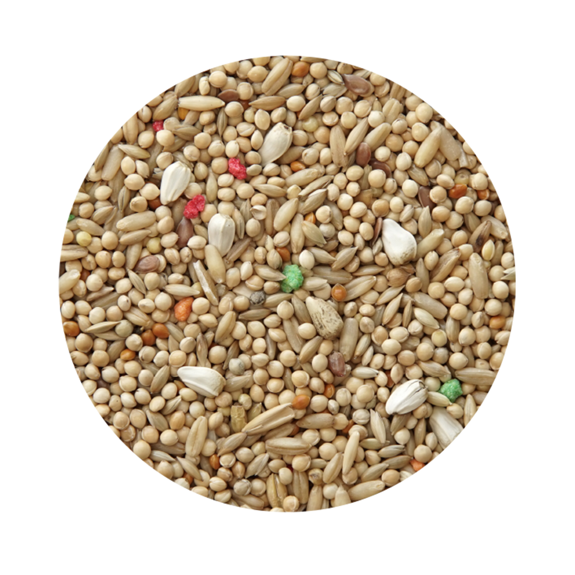 Alimento para Periquito Standard PET CUP 20KG