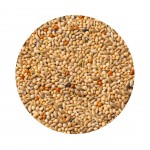 Alimento para Exticos Premium PET CUP 20KG