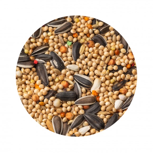 Alimento  Psitacideo Classic  20KG