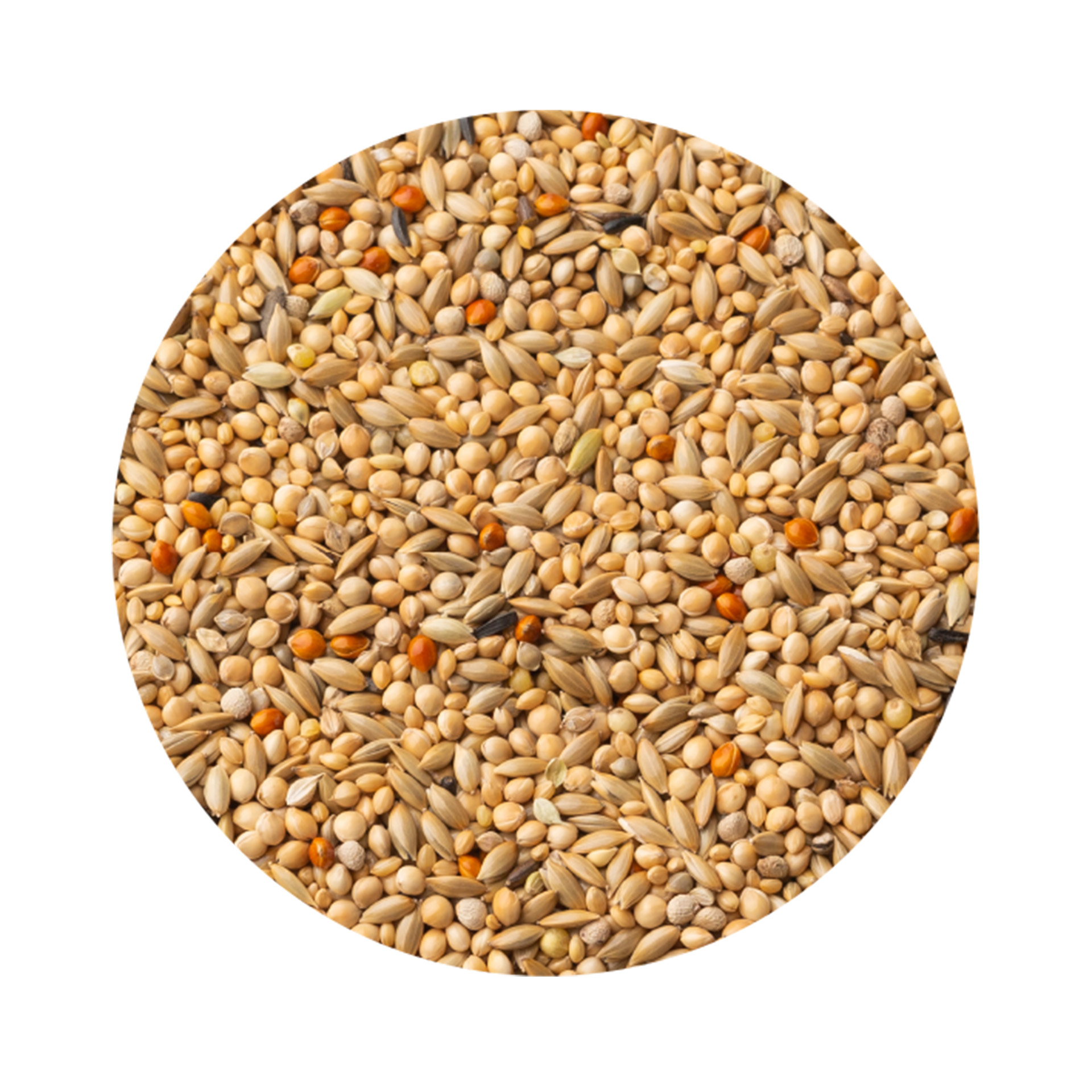 Alimento para Exóticos Premium PET CUP 20KG