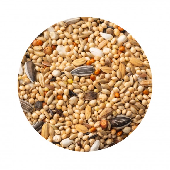Alimento  Psitacideo Pr em ium  20KG