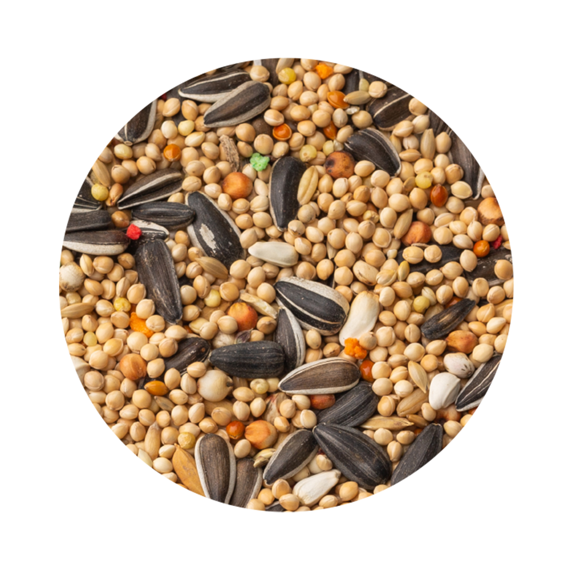 Alimento para Psitacideo Classic PET CUP 20KG