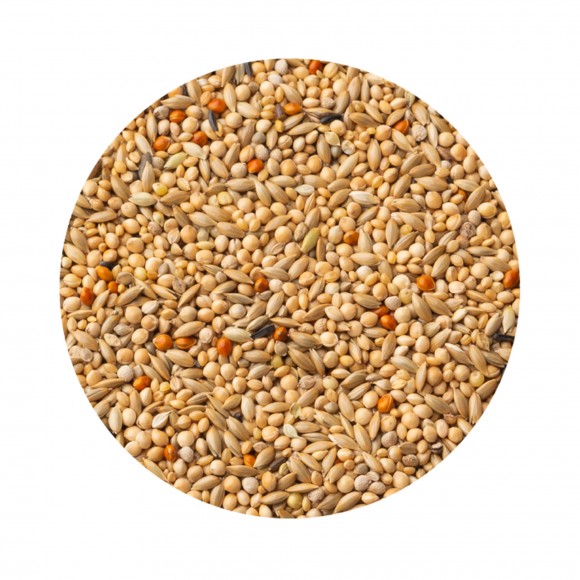 Alimento  Exticos Pr em ium  20KG