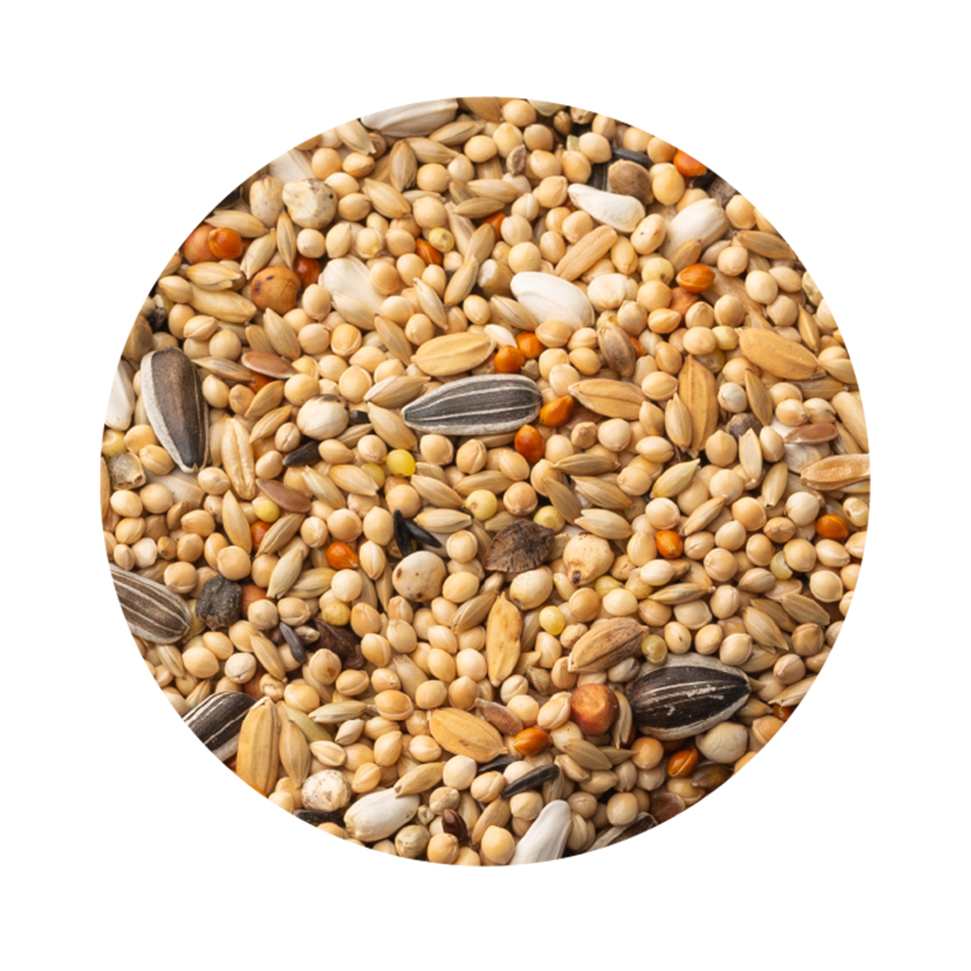 Alimento para Psitacideo Premium PET CUP 20KG