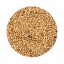 Alimento  Exticos Pr em ium  20KG