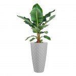 Vaso Havana Tropical Branco 70 CM ARTEVASI Vaso Havana Tropical Branco 70 CM ARTEVASI